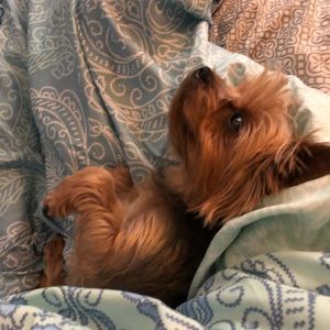 Meet your Posher, Gabrielle